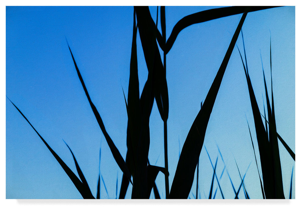 "Shapes Black On Blue" by Anthony Paladino, Canvas Art