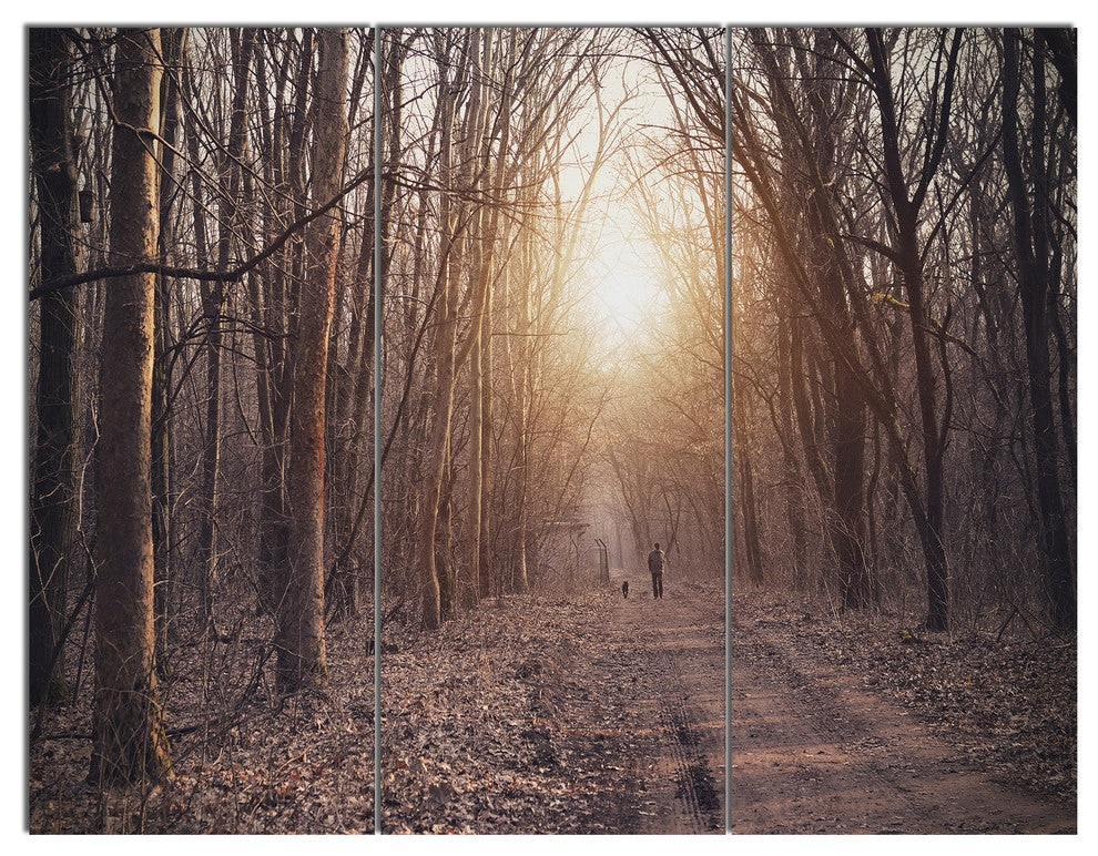 Forest Pathway View at Sunset, Modern Forest Canvas Art, 36x28, 3 Panels