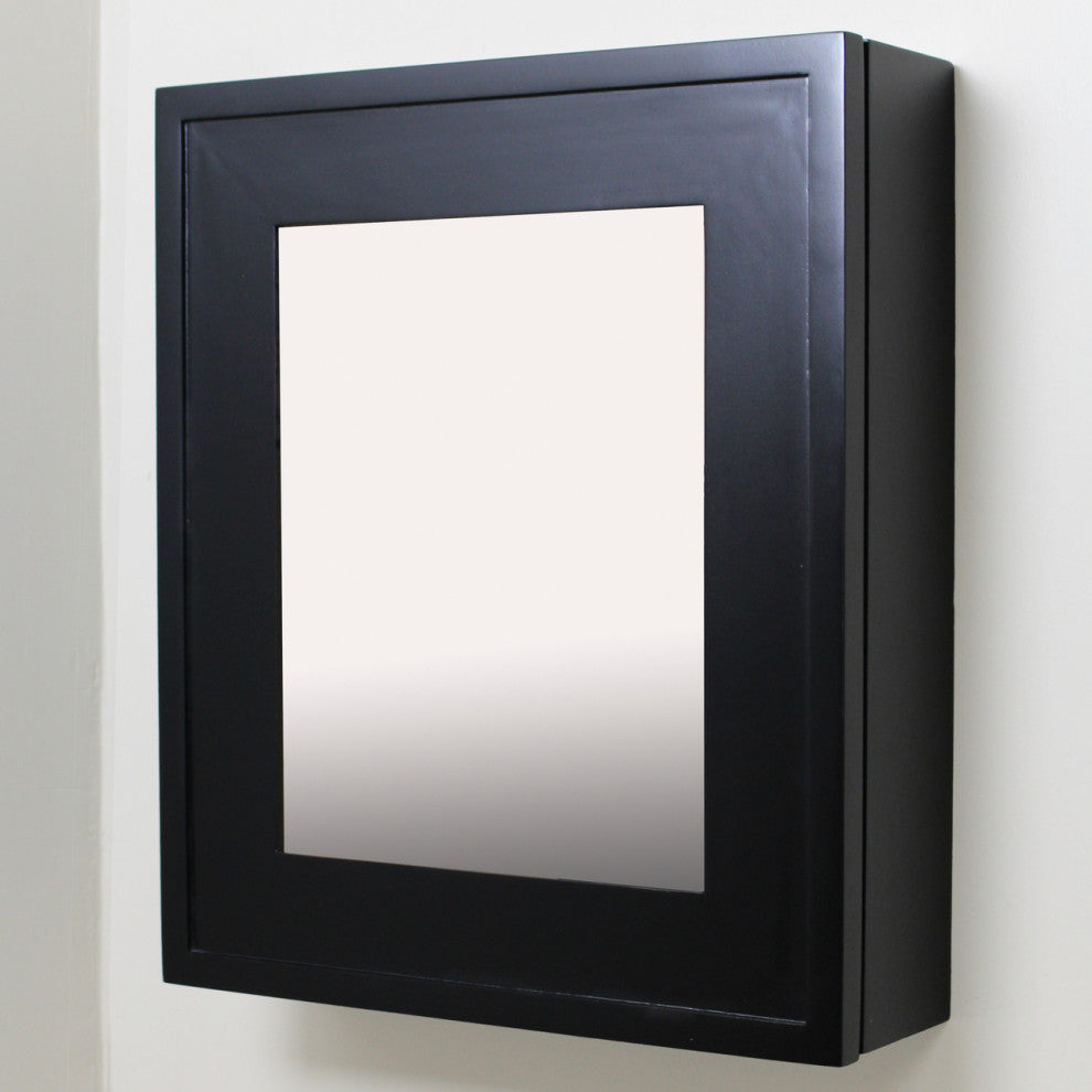 Wall Mount Mirrored Medicine Cabinet, Black