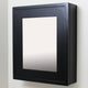 Wall Mount Mirrored Medicine Cabinet, Black