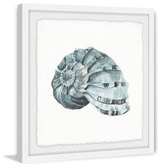 "Classy Shell" Framed Painting Print, 12"x12"