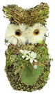 8.5" Brown and Green Decorative Owl Spring Table Top Figure