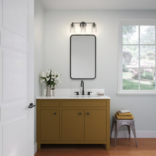 3 Light 20 in. Matte Black Vanity Light