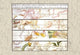 The Constellations of the Zodiac- Canvas Poster 20" x 30"