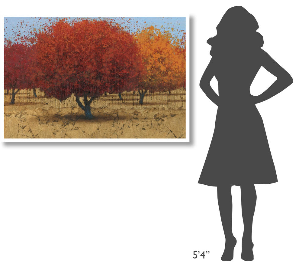 "Orange Trees II" Digital Paper Print by James Wiens, 50"x34"