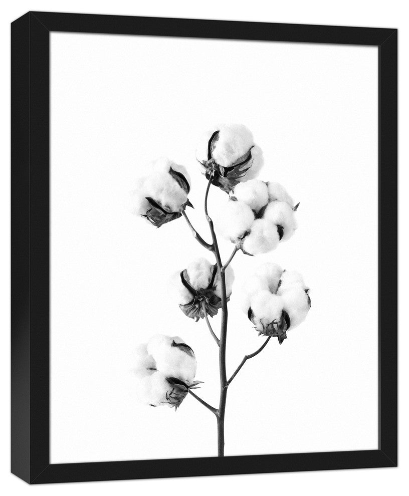 Black and White Cotton Stem 16x20 Black Framed Canvas