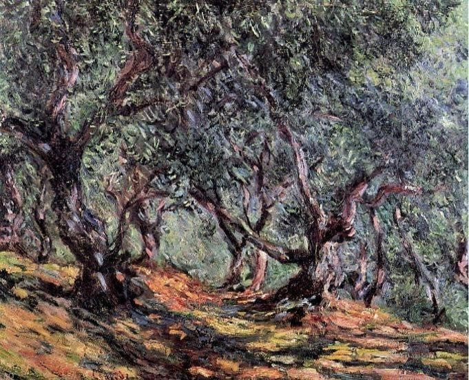 Claude Oscar Monet Olive Trees in Bordighera, Gallery Wrapped Canvas, 20"x25"