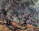 Claude Oscar Monet Olive Trees in Bordighera, Gallery Wrapped Canvas, 20"x25"
