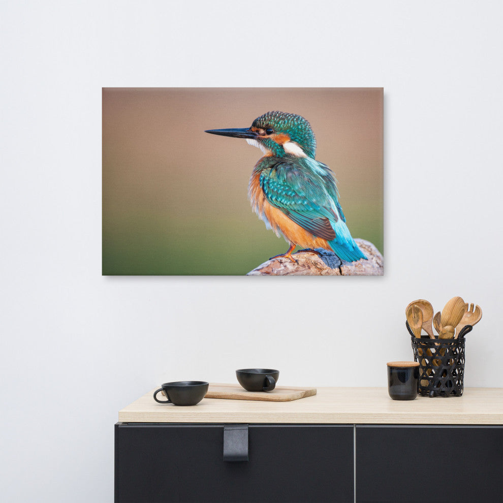 Common Kingfisher Bird on Perch Animal Wildlife Photograph Canvas Wall Art Print, 24" X 36"