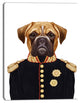 Funny Boxer Dog in Military Uniform, Animal Canvas Art Print, 12"x20"