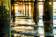 "Power of the Pier" Wood, 40"x60"
