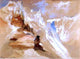 Thomas Moran Yellowstone Canyon Wall Decal