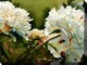 Lord and Lady Outdoor Art