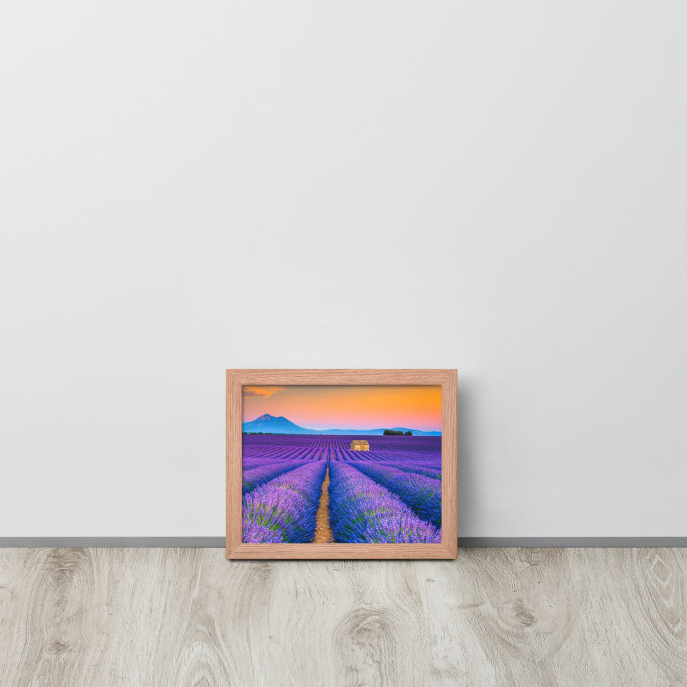 Blooming Lavender Field and Sunset Floral Landscape Framed Photo Wall Art Prints, Red Oak, 8" X 10"