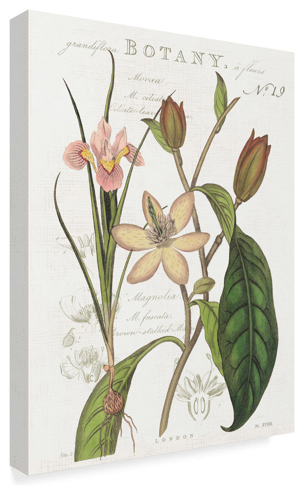 Sue Schlabach ''Vintage Floral III Neutral'' Canvas Art, 32"x24"