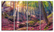 Autumn Morning in Mystical Woods, Landscape Canvas Print, 48"x28", 4 Panels