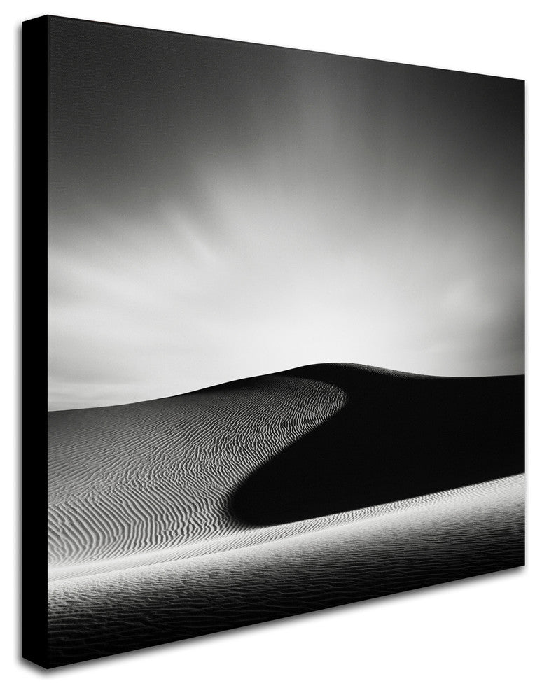 'Dark Shadows' Canvas Art by Dave MacVicar