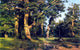 Ivan Ivanovich Shishkin Oak-wood Wall Decal