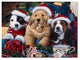 Jenny Newland ''Sawry Santa Paws'' Canvas Art, 47x35