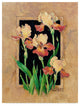 Barbara Mock '' Framed Iris'' Canvas Art