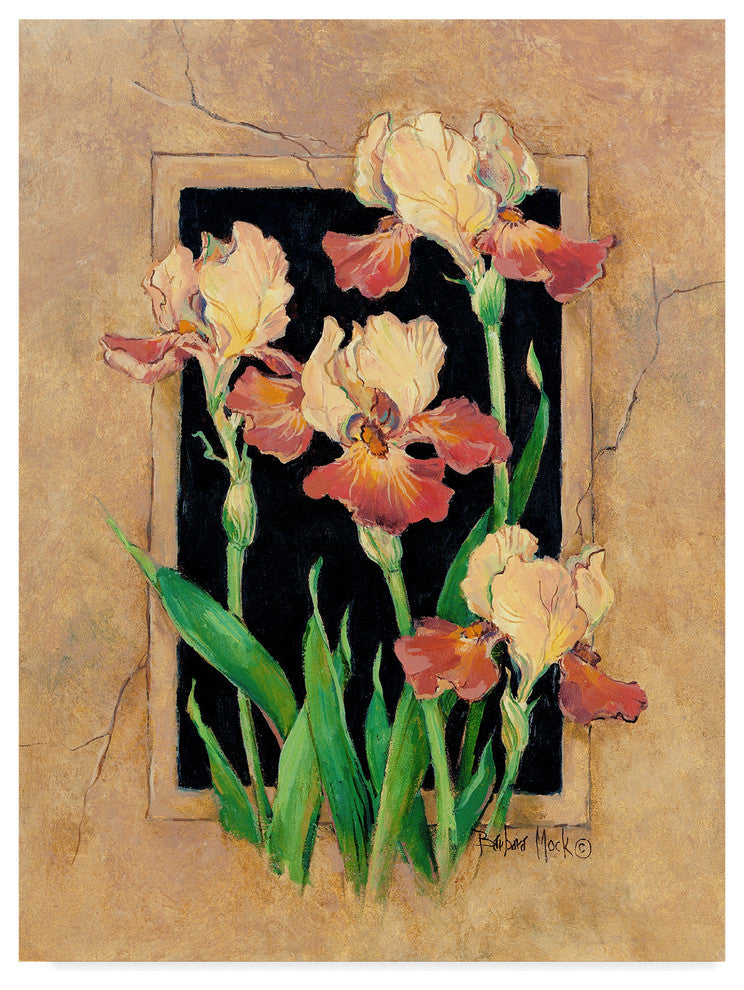 Barbara Mock '' Framed Iris'' Canvas Art