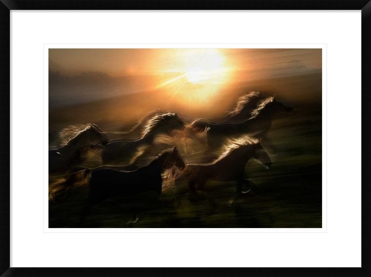 "Morning Gallop" Framed Digital Print by Milan Malovrh, 30x22"