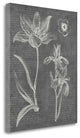 "Eden Spring II Gray" By Wild Apple Portfolio, Giclee on Gallery Wrap Canvas