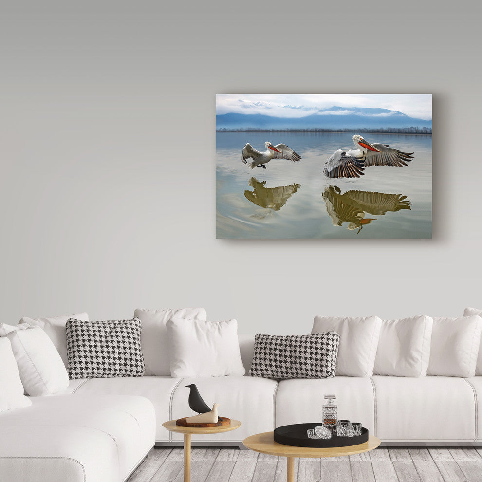 Xavier Ortega 'Pelicans Flying' Canvas Art, 32"x22"