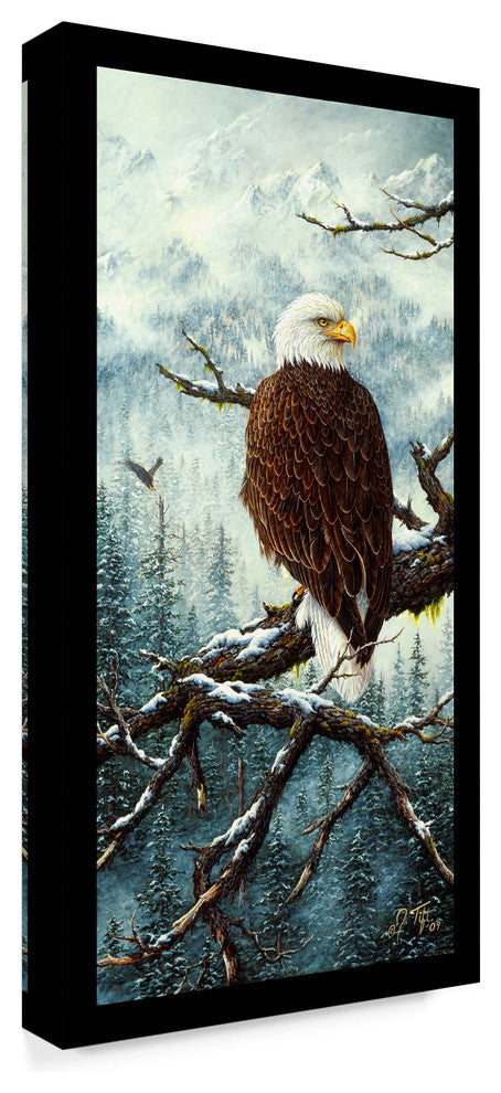 Jeff Tift 'Eagle Rest' Canvas Art, 24"x12"
