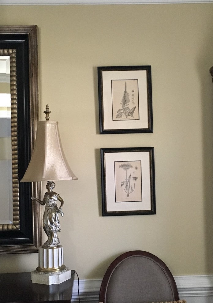 Original Vintage 1887 Botanical Herb Framed Print, Set of 2
