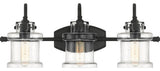 Danbury 3-Light Bath Vanity, Earth Black