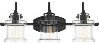 Danbury 3-Light Bath Vanity, Earth Black