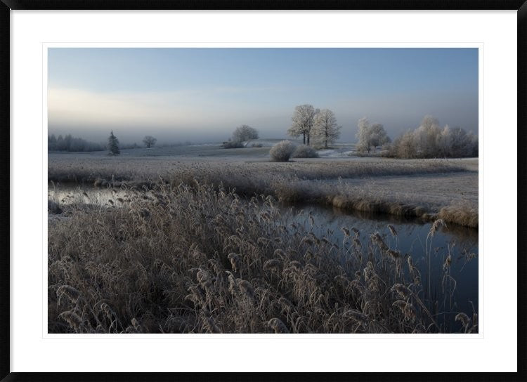 "Cold" Framed Digital Print by Nina Pauli, 44x32"