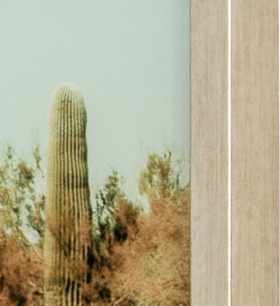 Saguaro