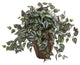 Nearly Natural Wandering Jew Artificial Plant in Decorative Plantert