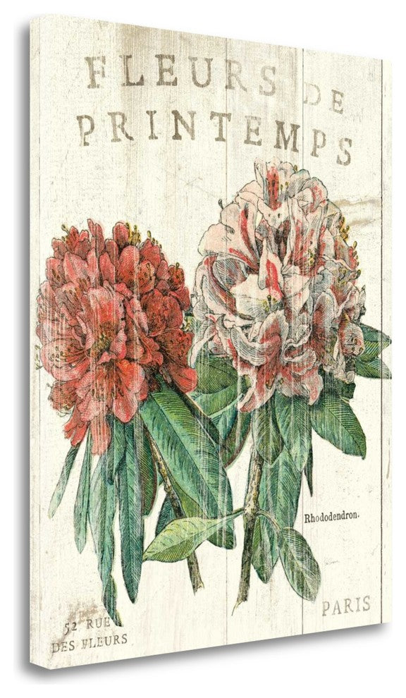 "Fleur De Printemps" By Sue Schlabach, Giclee Print on Gallery Wrap Canvas
