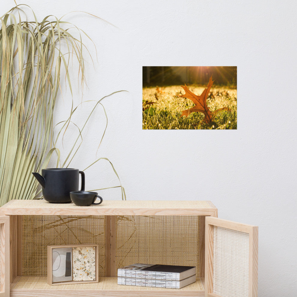 Fall Leaf in Morning Sun - Autumn Nature Photograph Unframed Wall Art Print, 12" X 18"
