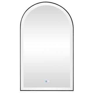 Estartit Oval LED Wall Mount Mirror, Brushed Black, 24" W X 40" H