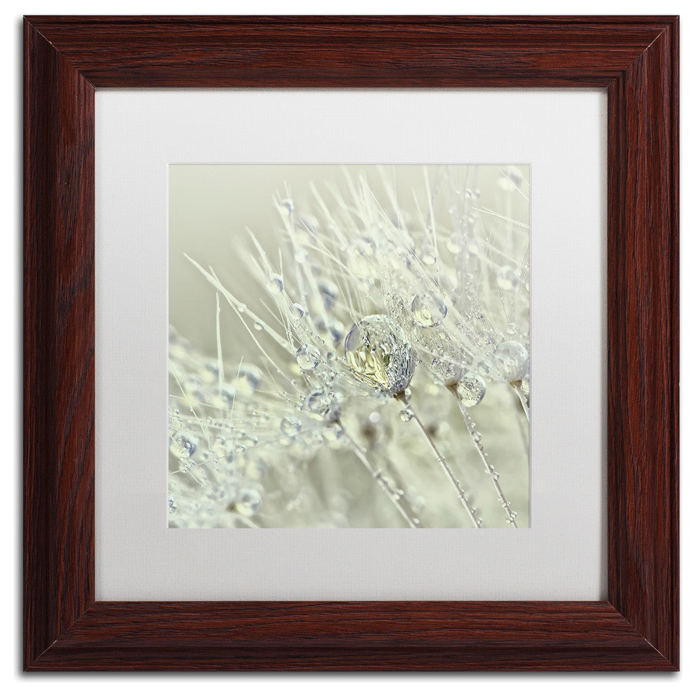 Cora Niele 'Dandelion Dew III' Matted Framed Art