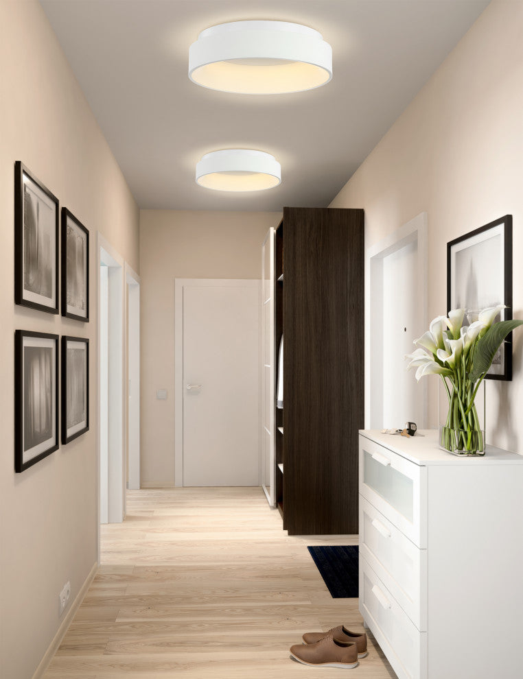 Ring 17.7" Integrated LED Flush Mount Ceiling Light, White
