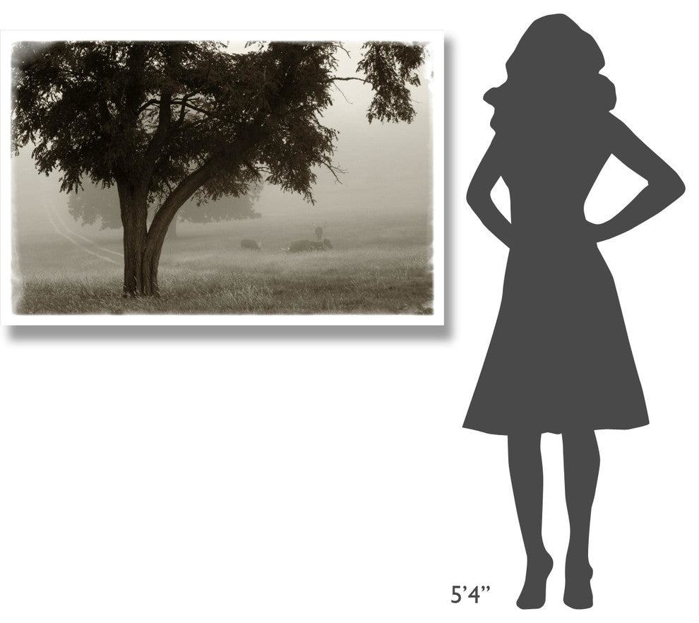 "Calm Mist" Digital Paper Print by Debra Van Swearingen, 50"x34"