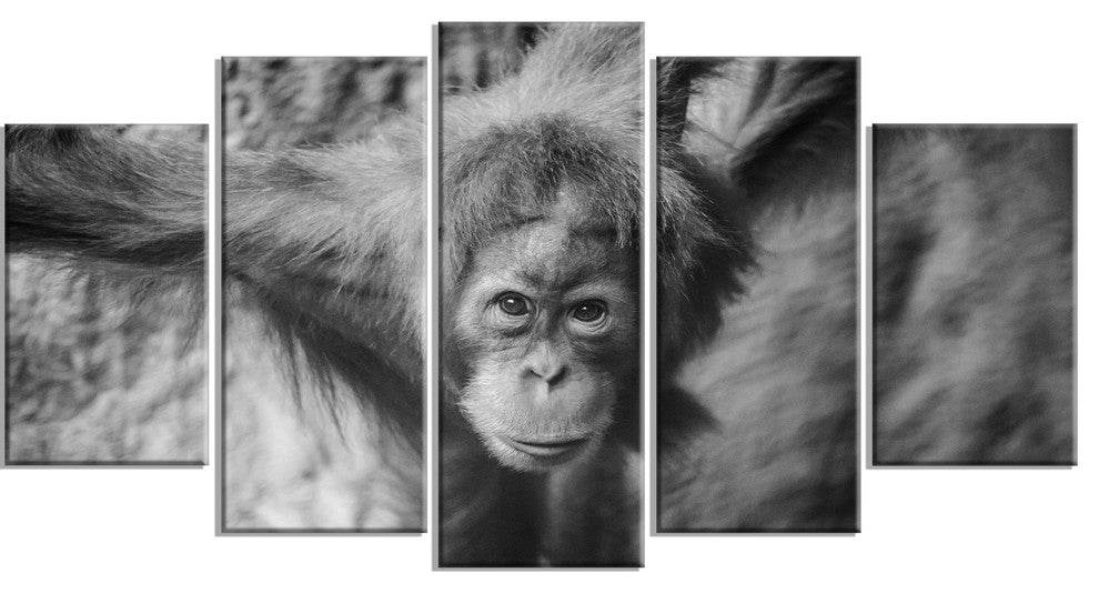 Young Orangutan Black, Abstract Canvas Art Print, 60"x32", 5 Panels