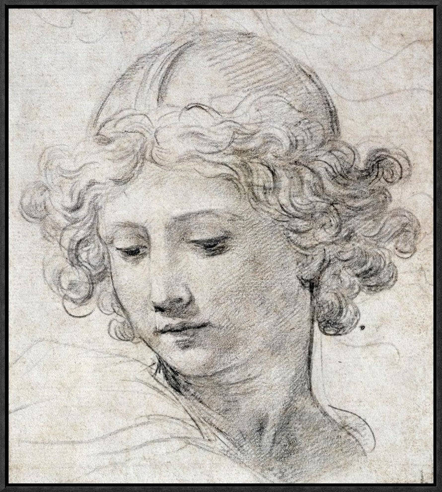 "The Head of An Angel" Framed Canvas Giclee by Pietro Berrettini, 20x23"
