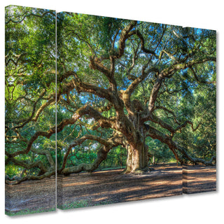 Pierre Leclerc 'Angel Oak Charleston' Multi Panel Art Set, 32"x24"