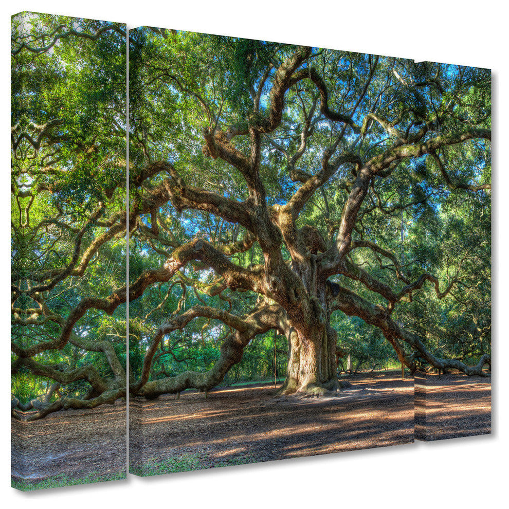 Pierre Leclerc 'Angel Oak Charleston' Multi Panel Art Set, 32"x24"