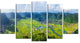 "Rice Field Valley Vietnam Panorama" Landscape Wall Art, 5 Panels, 60"x32"