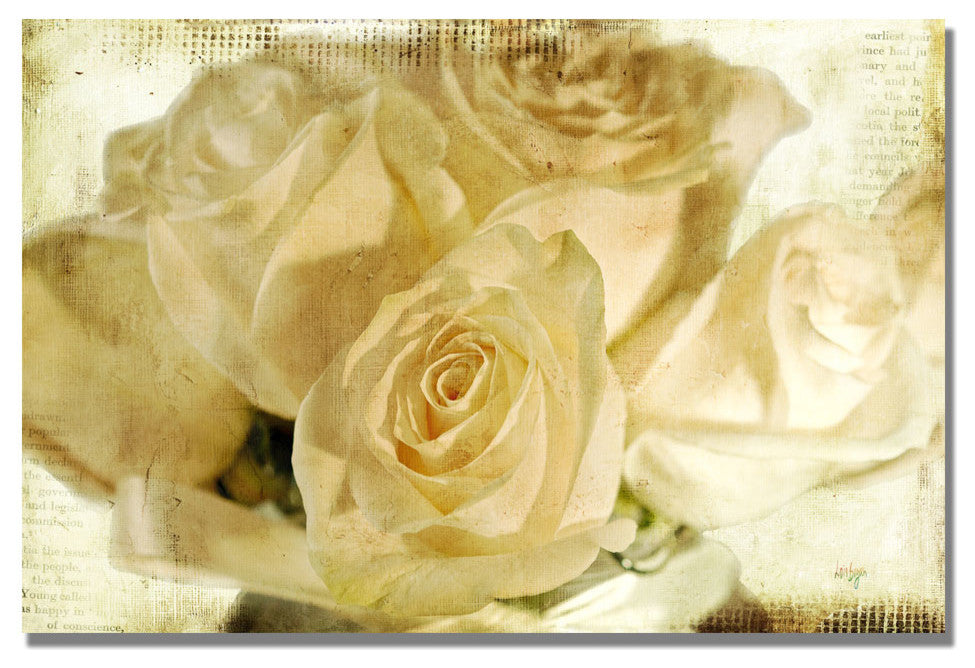 ''White Roses'' Canvas Art by Lois Bryan