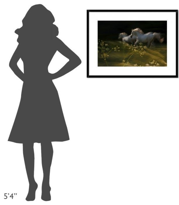 "Duel" Framed Digital Print by Milan Malovrh, 32x24"