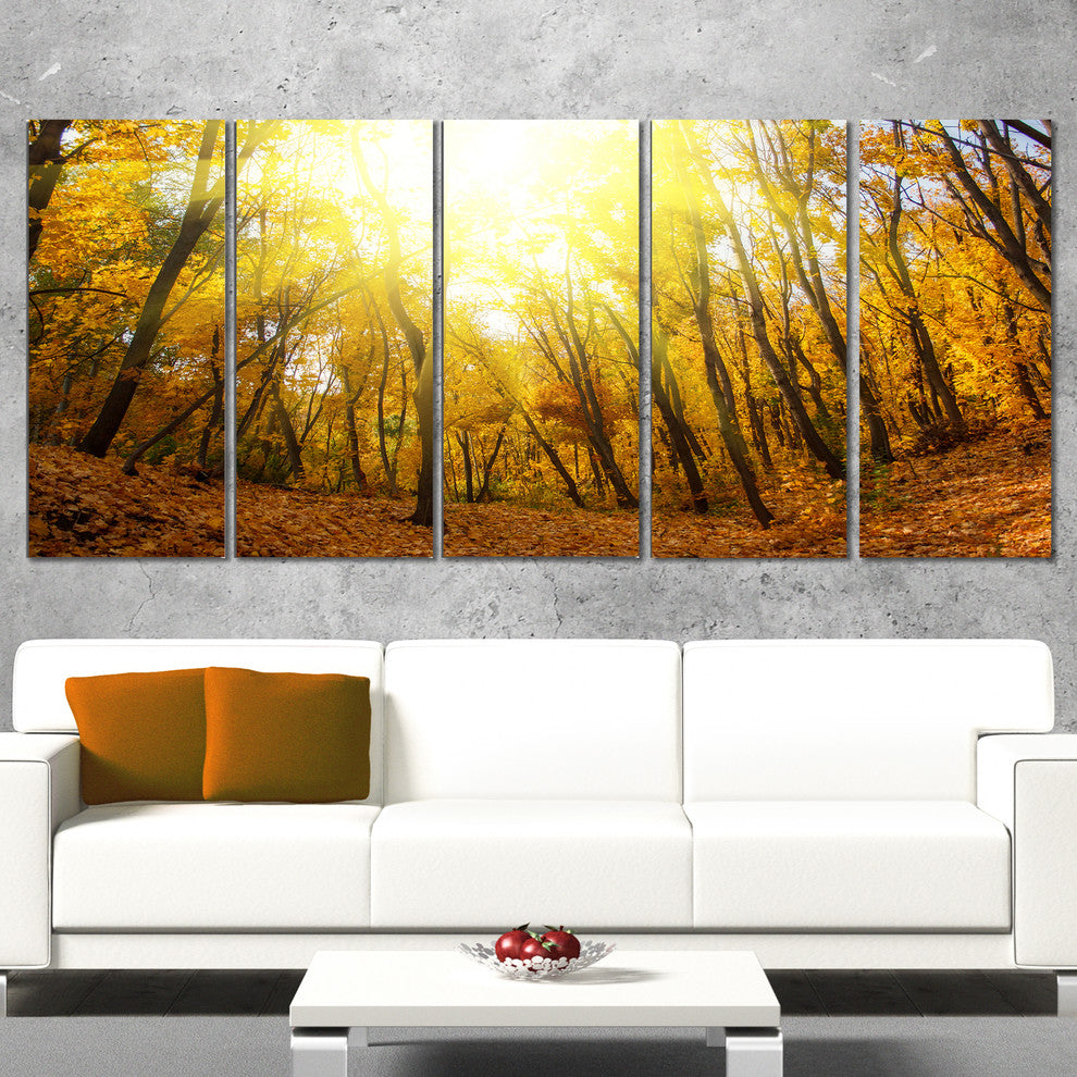 Yellow Autumn Forest in Sunlight, Forest Canvas Art Print, 60"x28", 5 Panels