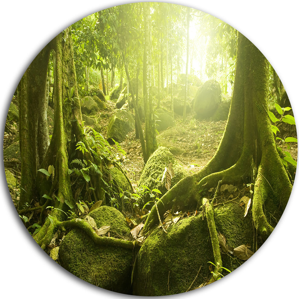 Green Forest With Sun, Landscape Photo Round Metal Wall Art, 36"